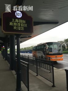 上海国际旅游度假区快线开通，四条线路已投入运营