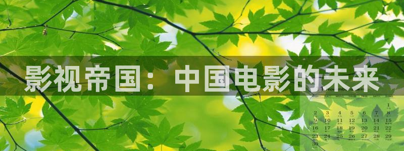 黑蚂蚁影视大全在线观看：影视帝国：中国电影的未来