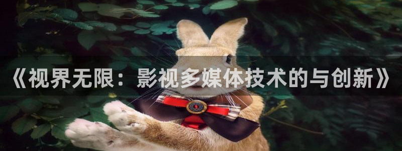 黑蚂蚁影视最新电影：《视界无限：影视多媒体技术的与创新》